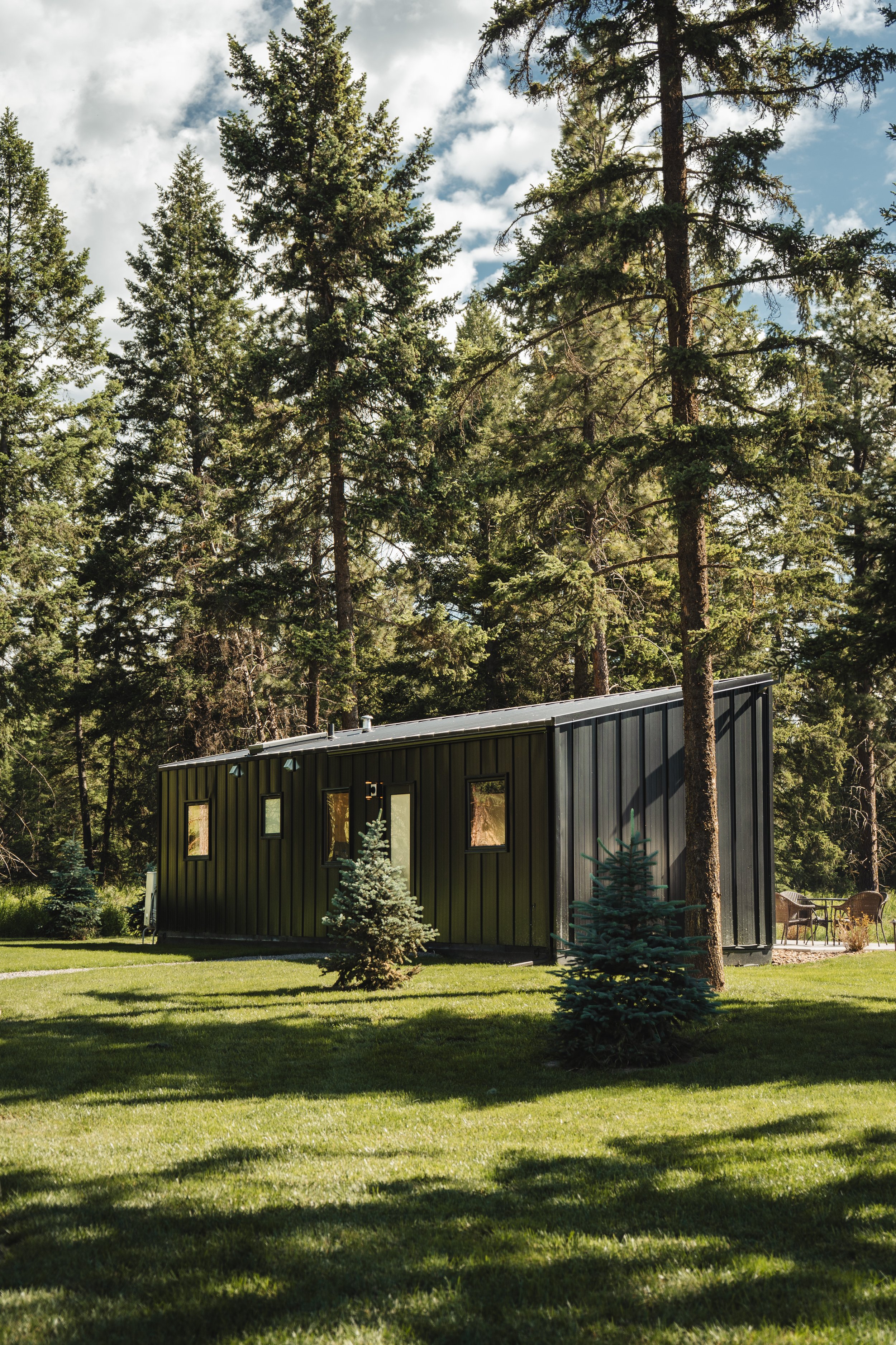 A modern black house with a flat roof surrounded by lush green grass and small pine trees, with tall evergreen trees and a partly cloudy sky in the background.
