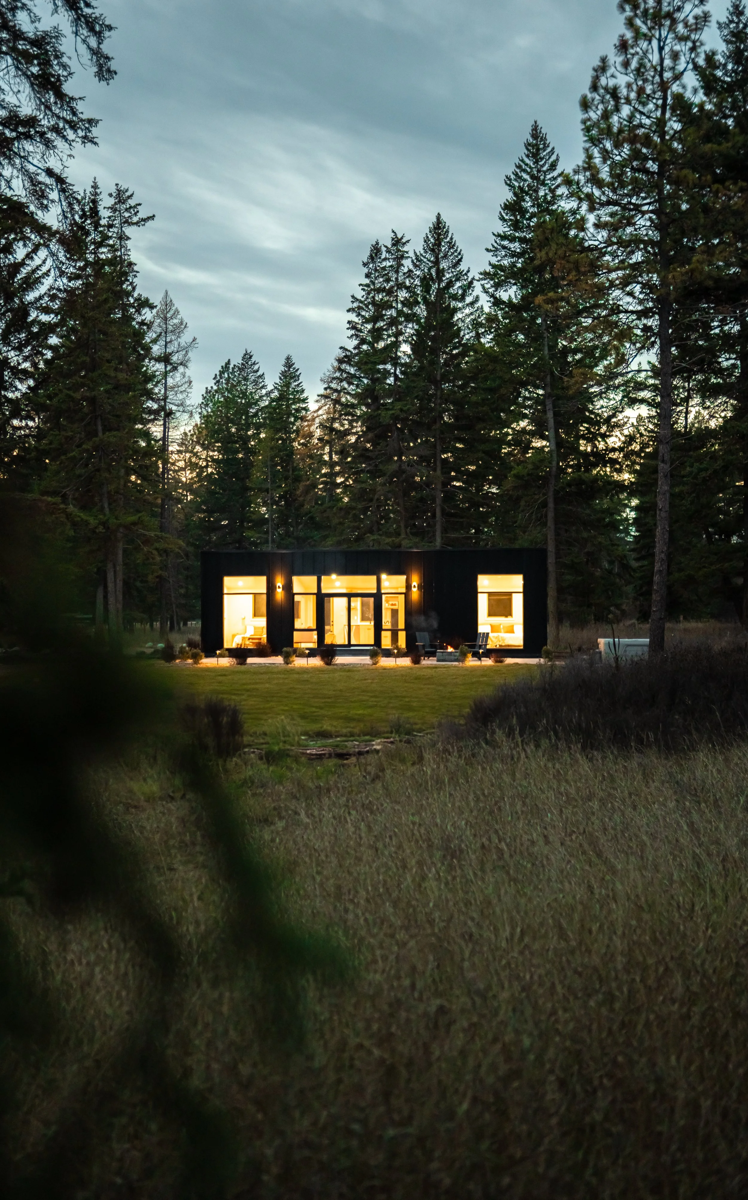 JKA07450 with grass.jpg