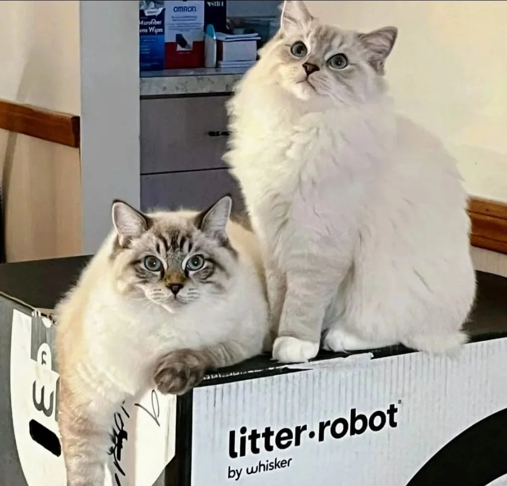 Screenshot_20230114_161937_Messenger.jpg
