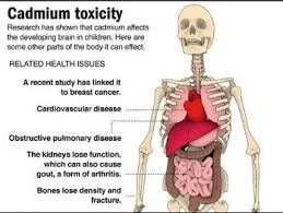 Cadmium, The Health Villian?
