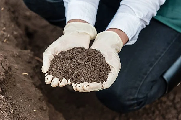 Soil Microbiology Discussion 2010