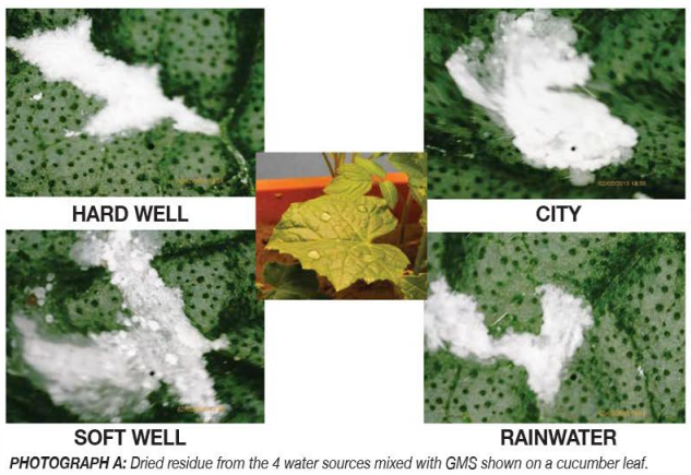 Water Sources and Foliar Feeding