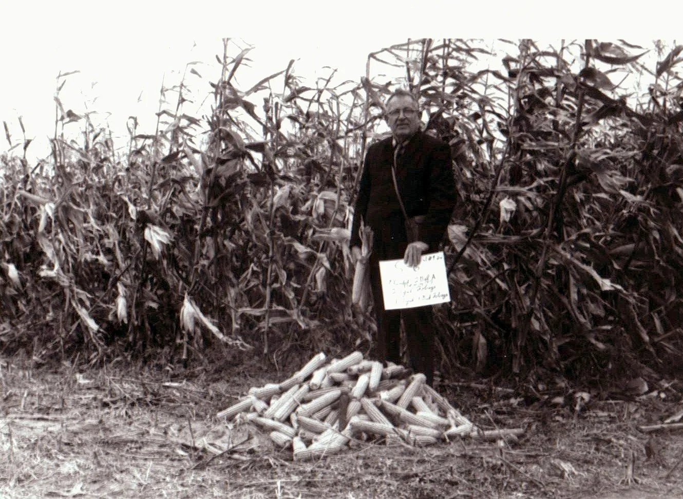 Some Wisdom from the 1960’s