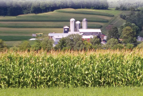 Centennial Celebration