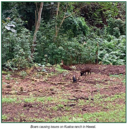 What Are They Telling Us?