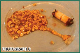 What’s In Fertilizer?
