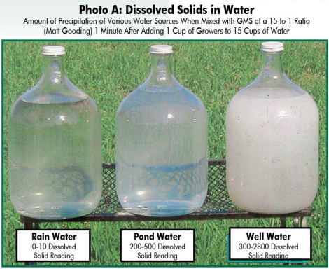Foliar Feeding Season