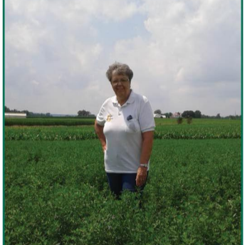 Pennsylvania Alfalfa