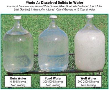 Foliar Feeding Season