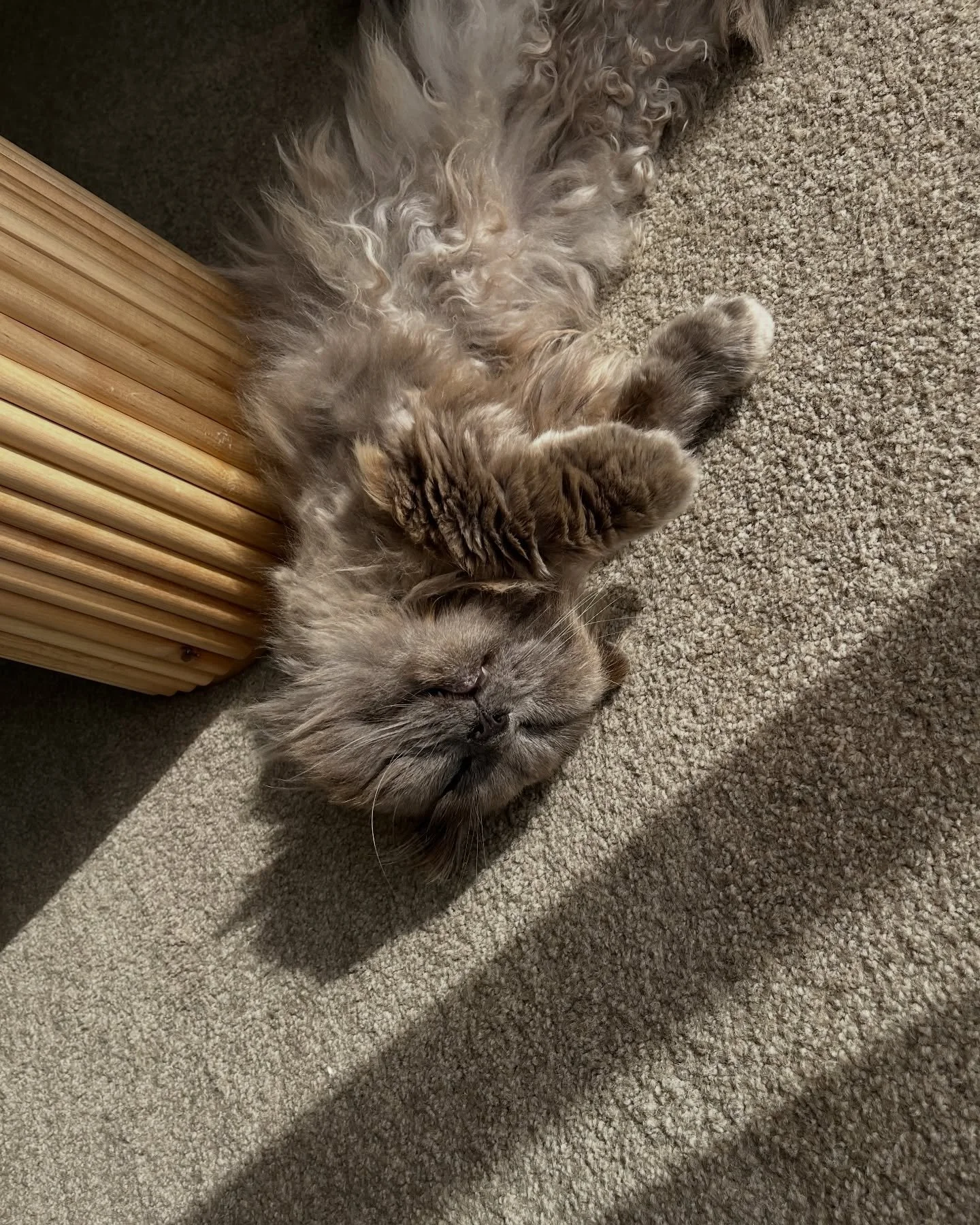 highlights from my camera roll pt.2 ✨👩🏻&zwj;🏭🧚
Sam, Hershey (🐈&zwj;⬛) and I have had a wonderful year making all of your jewels, a big THANK YOU to whoever is reading this (yes you) for making this year such a good one. Whether we&rsquo;ve made 