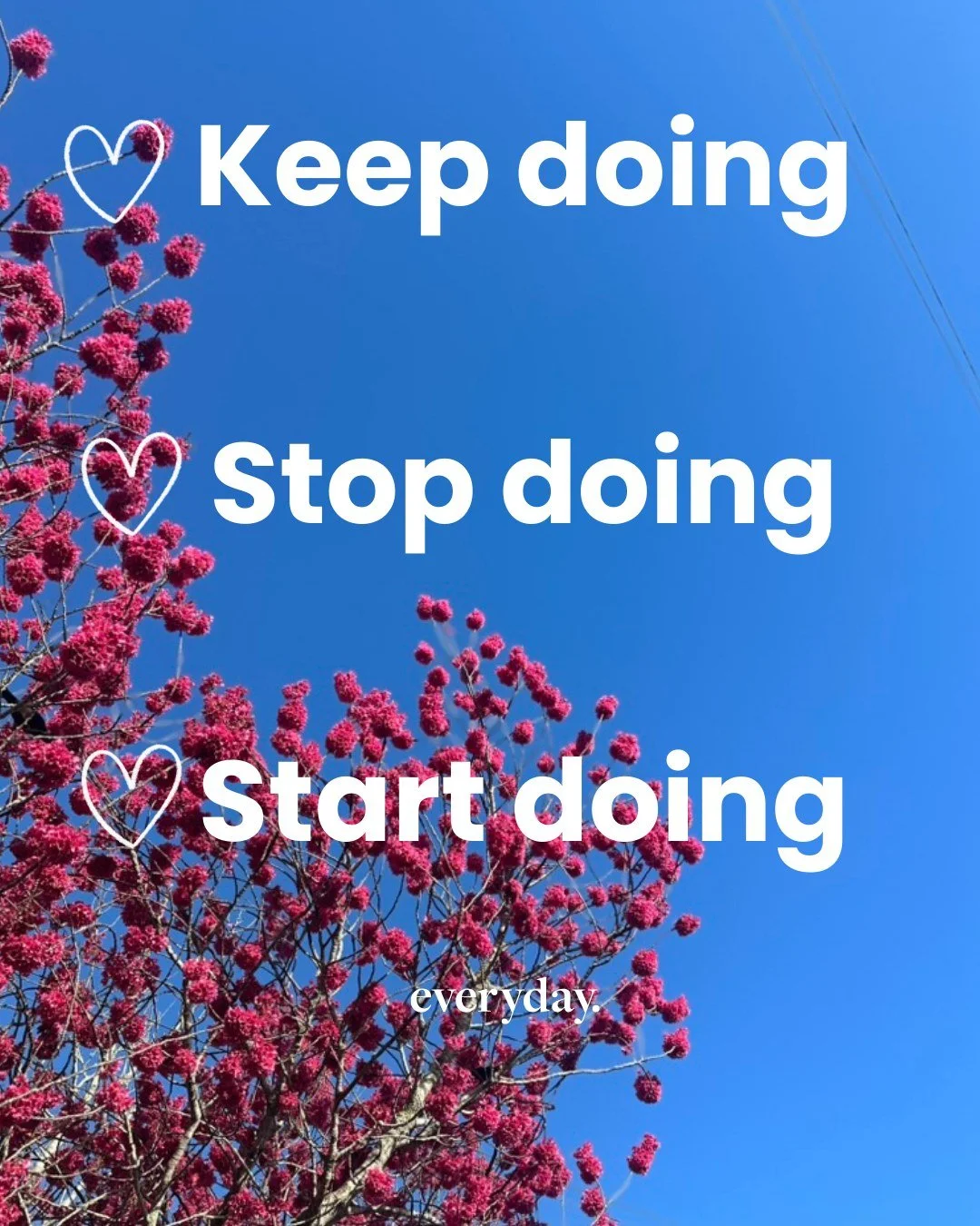 End of week reflection. If you know you know. 

If you are keen to learn more... head to our everyday. X School Kit space, join up and watch the replay of Kate Horton's EPIC seminar on 'Pointing our Reflection in the Right Direction' so we don't risk