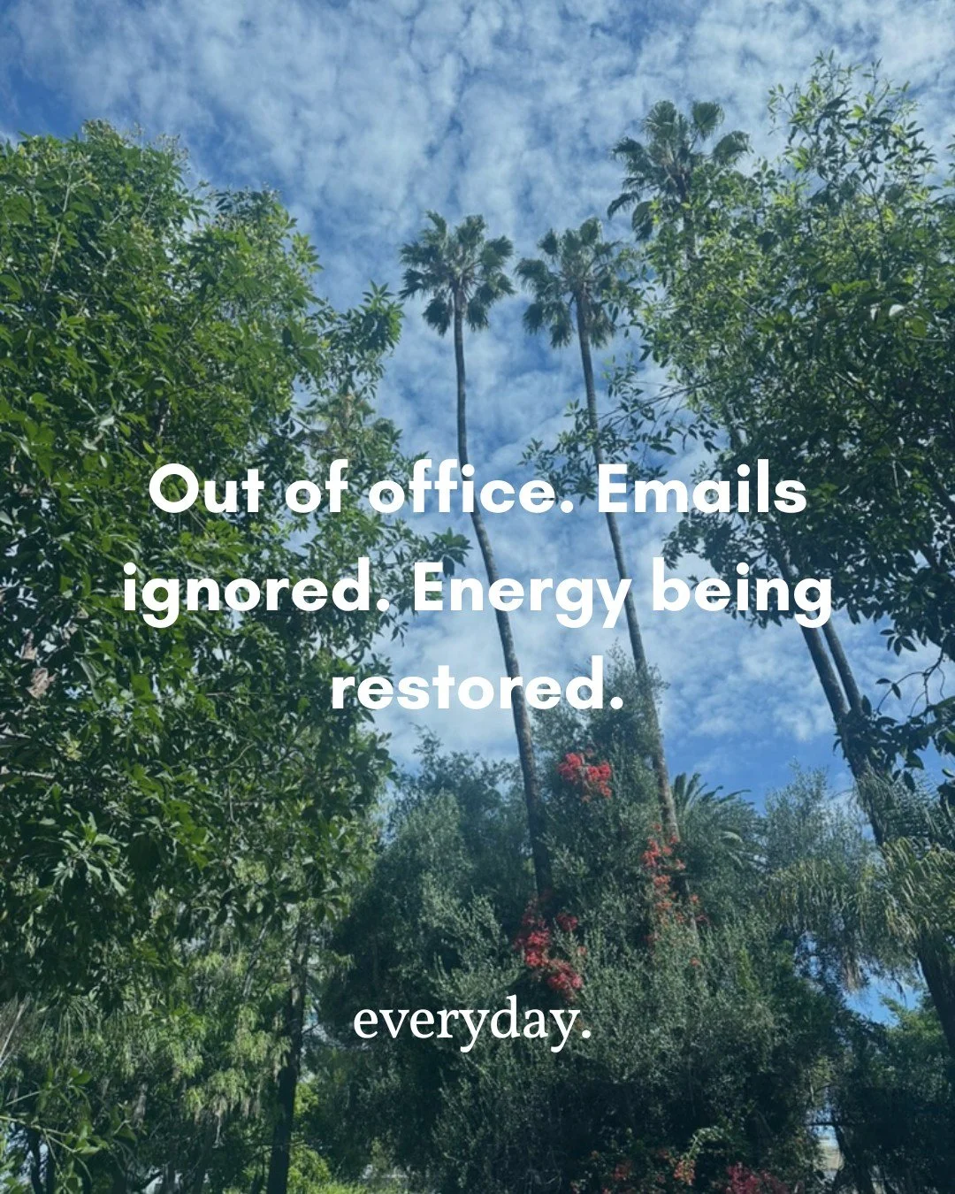 Catch me somewhere between coffee, sunshine, and absolutely no alarms.

Guess where?

#everydayaotearoa #theec