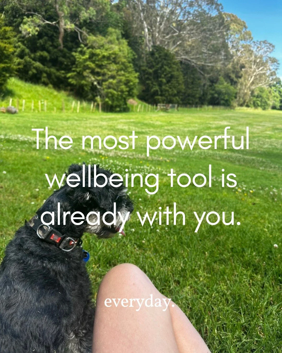 The most powerful wellbeing tool is already with you.

Before the meeting.
Before making that phone call.
Before the class roll in.

One slow breath in.
One slow breath out.

Sometimes that&rsquo;s enough to help us respond rather than react.

Where 