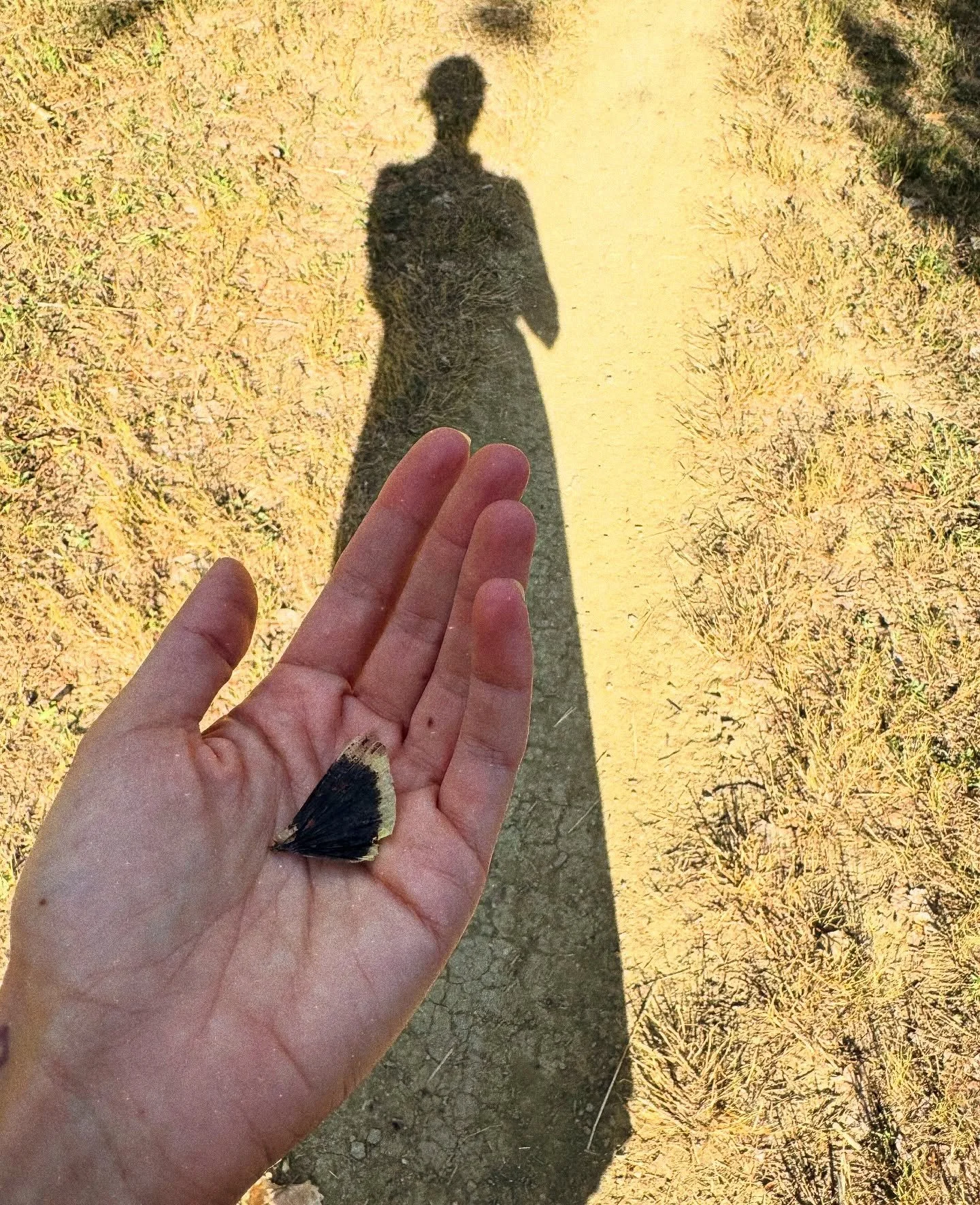 &ldquo;For it is important that awake people be awake,
or a breaking line may discourage them back to sleep;
the signals we give&mdash;yes or no, or maybe&mdash;should be clear; the darkness around us is deep.&rdquo; - William Stafford 🌌
.
.
.
#stay