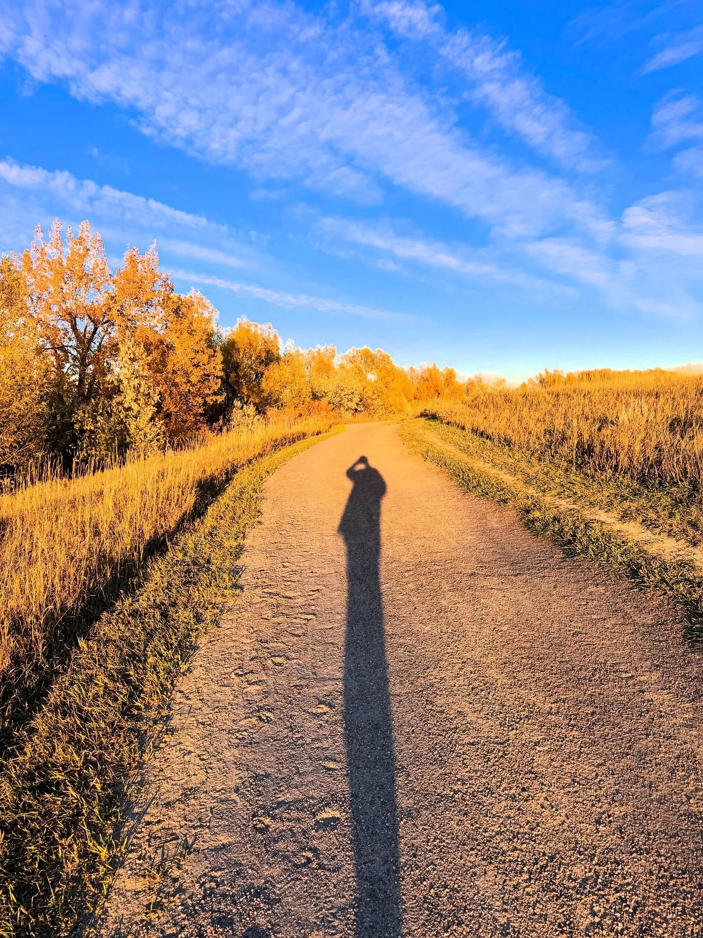 Human beings do not find their essence through fulfilment or eventual arrival but by staying close to the way they like to travel, to the way they hold the conversation between the ground on which they stand and the horizon to which they go.  We are,