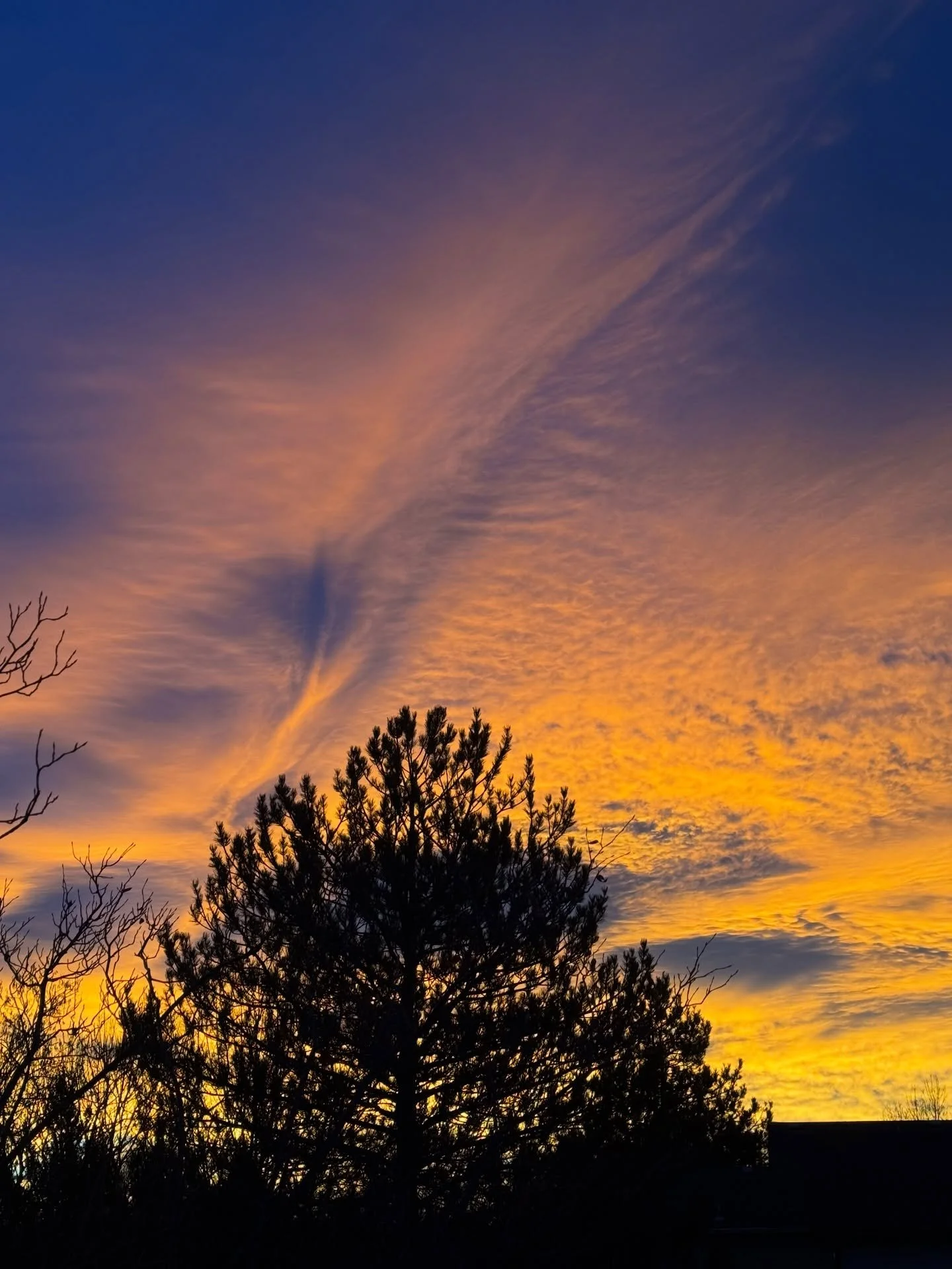 Happy &bull; Solstice 🕯️💃🏾🌌

What a year! What a life!  What a time! Feeling thankful for the clarity that has been arriving in these final days of the year. 

The only task, really, is to just keep listening&hellip;

As we continue to let go of 