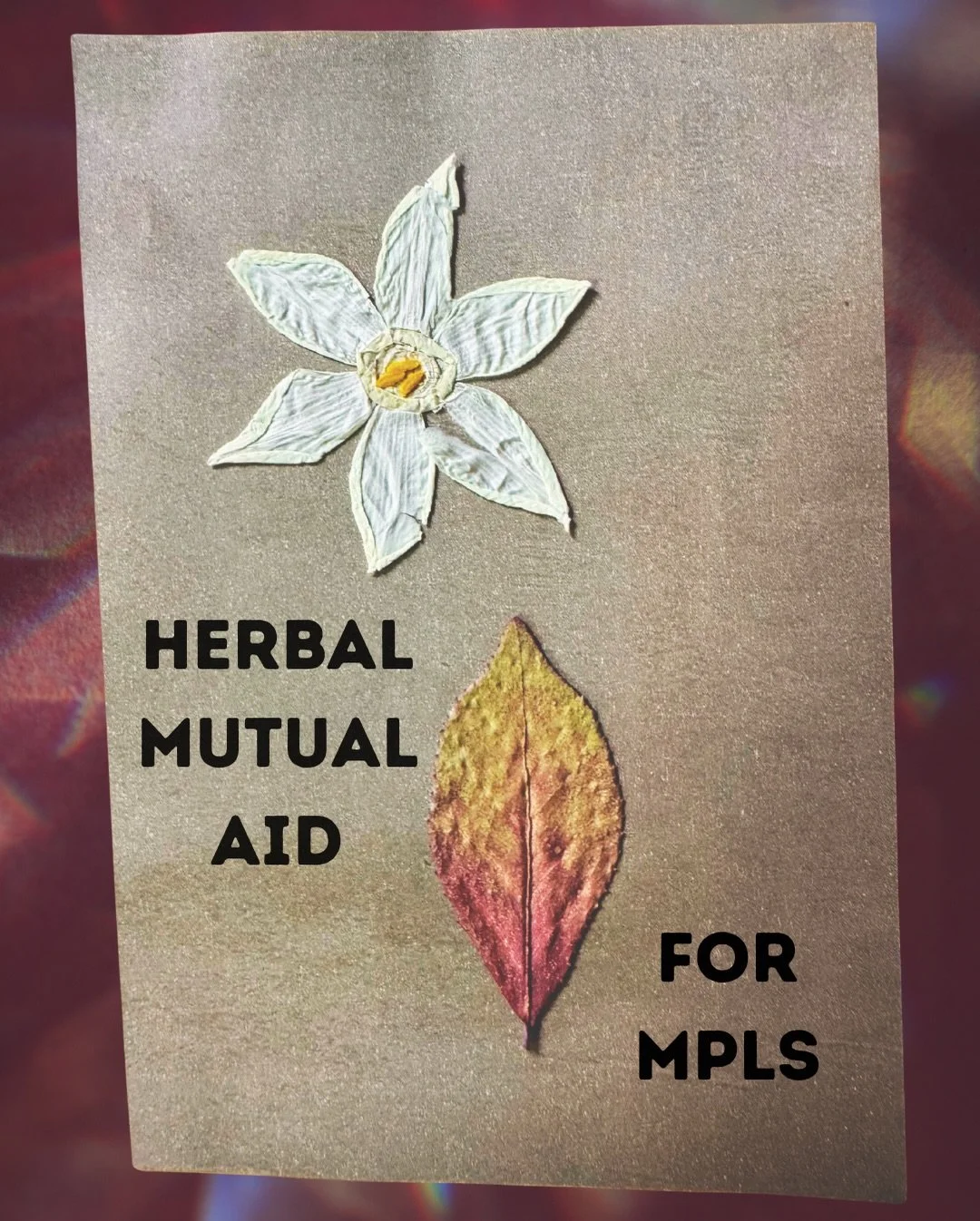 CALLING IN SUPPORT FOR MINNEAPOLIS ✨🌿

&ldquo;It&rsquo;s getting worse and worse everyday&hellip;&rdquo; says a friend on the ground there.  This is a call for medicine and supplies for the protectors, the people braving the cold and fighting this e