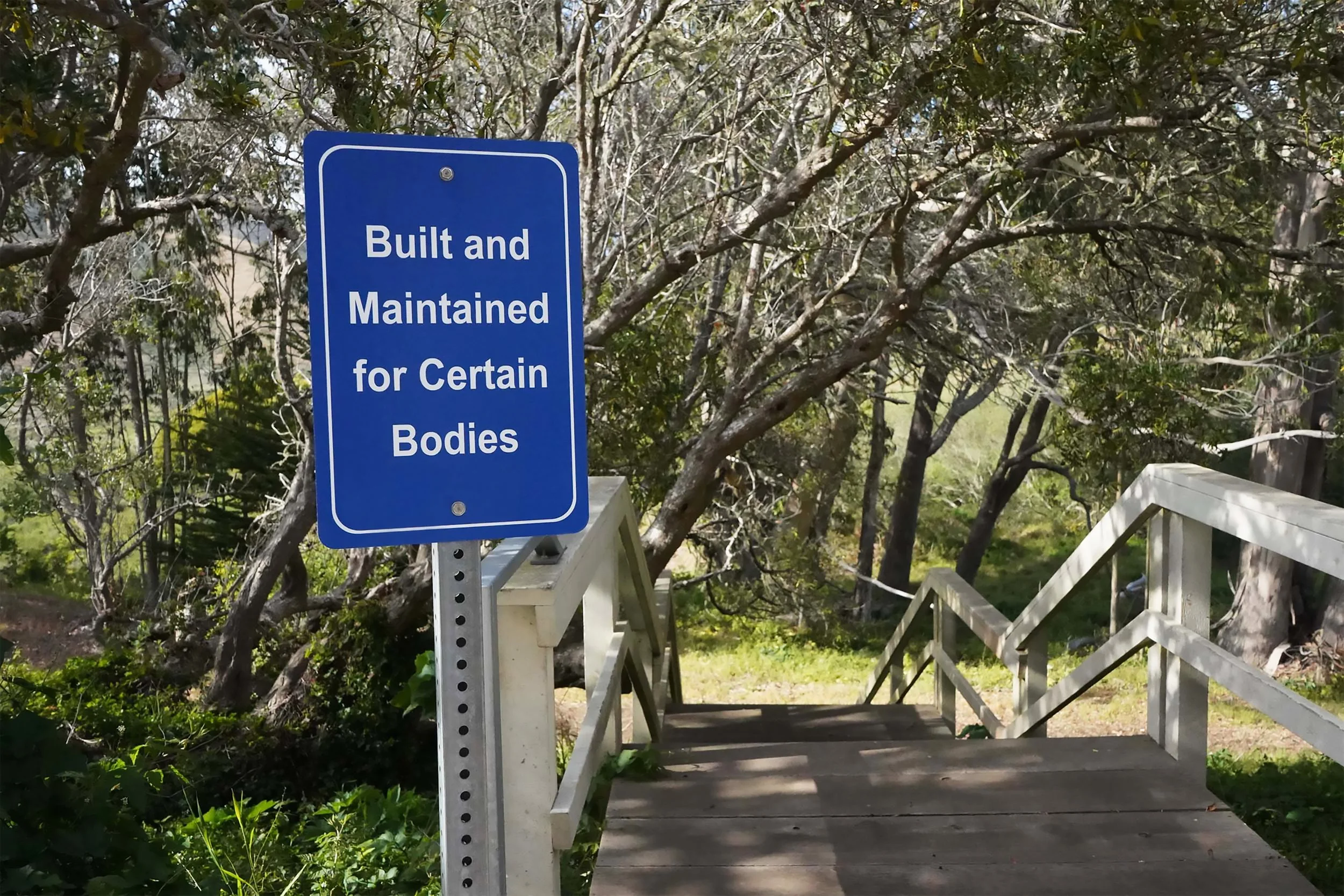 Certain Bodies , 2021