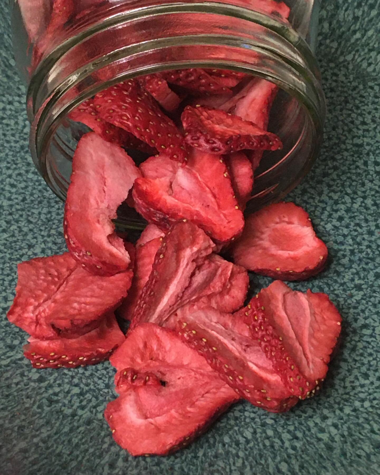 It&rsquo;s #strawberry season! Locally grown organic freeze dried strawberries! We can&rsquo;t keep up- get em while their hot! DM for sales and availability! 

#freezedry #freezedriedstrawberries #localbusiness #familyownedandoperated #familyowned #