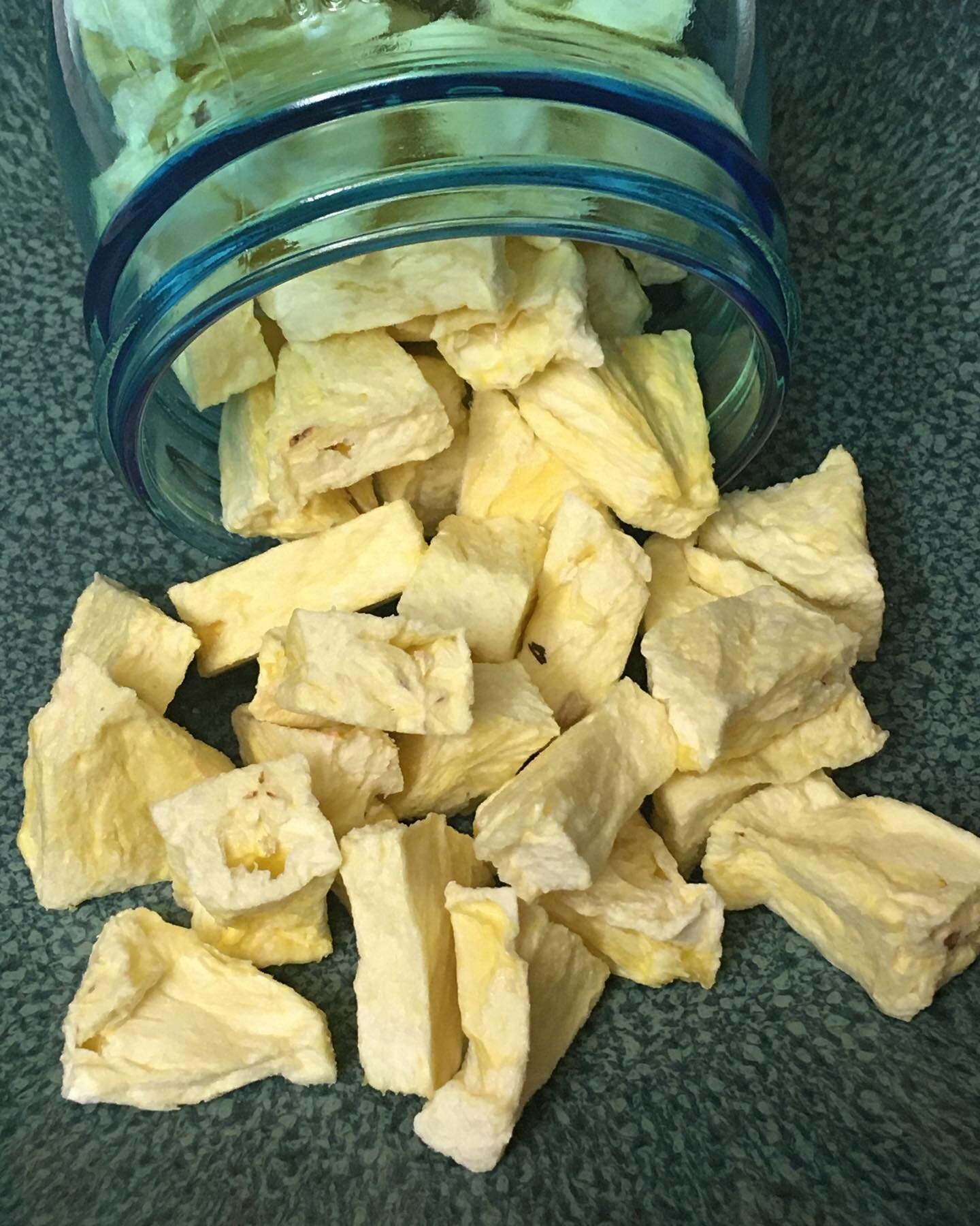 Freeze dried pineapple fresh out the den! If stored properly these foods can last up to 25 years- though I doubt these will last even one day! 
Freeze drying is the best way to preserve food with the greatest amount of nutrients intact. 

#freezedry 