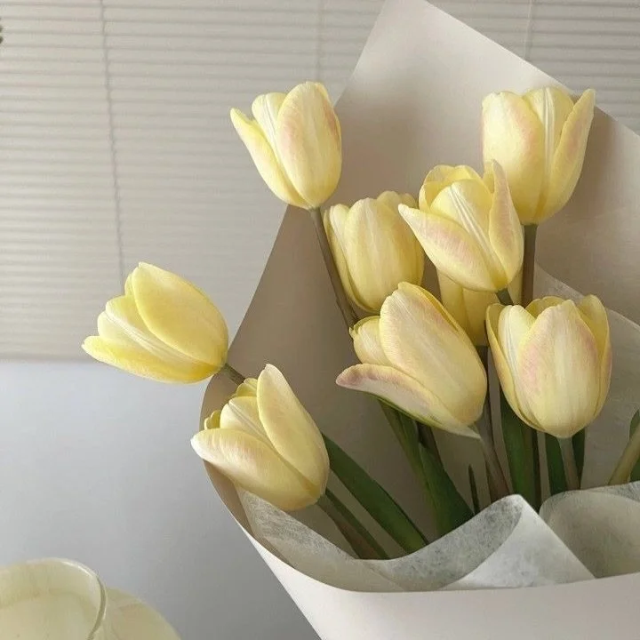 New season, new routine 🤸&zwj;♀️

We&rsquo;re opening a limited round of 1-on-1 personal training consults in King West, Yonge &amp; Bloor, and the Distillery District Toronto studios, plus online.

If you&rsquo;re ready for strength with structure,