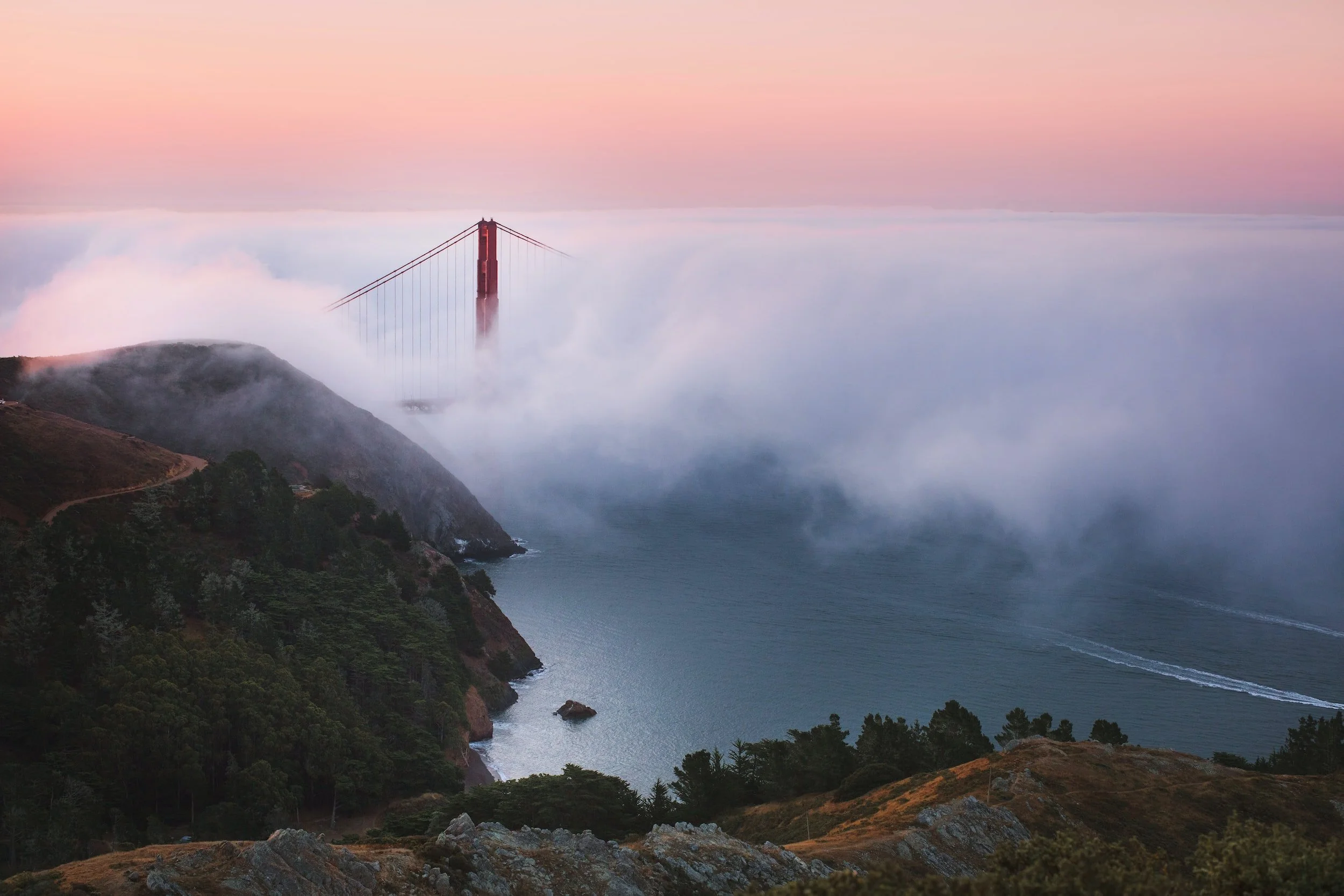 unsplash-image-iQnR_xEsBj0.jpg