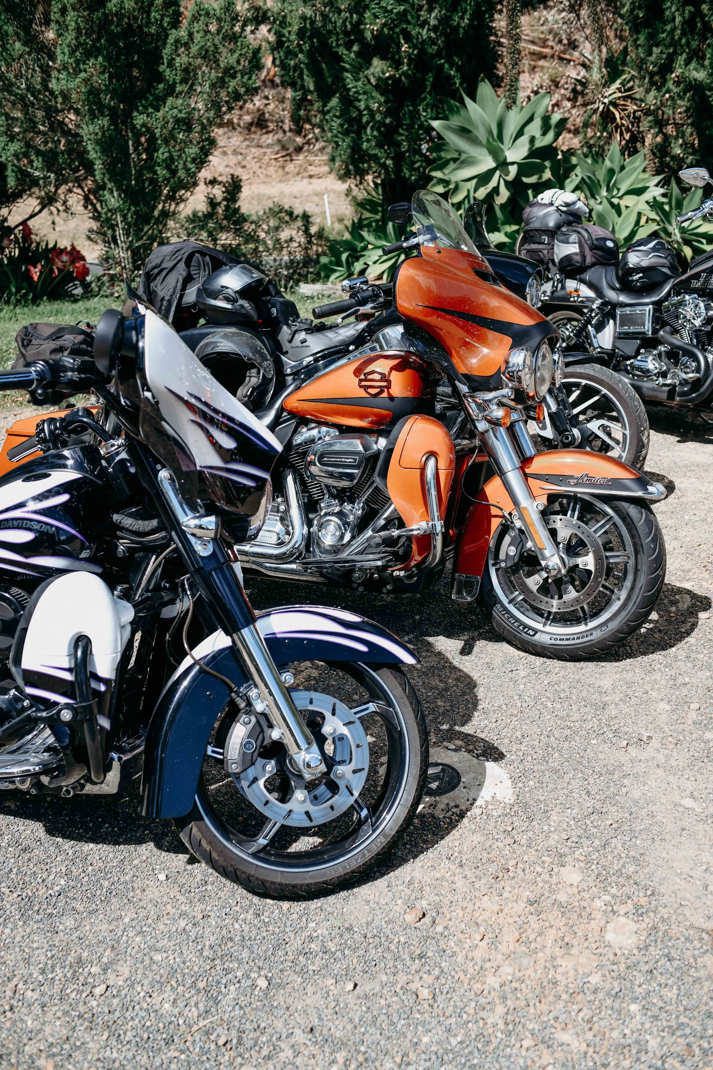 Multiple motorcycles parked outdoors among green plants and bushes.