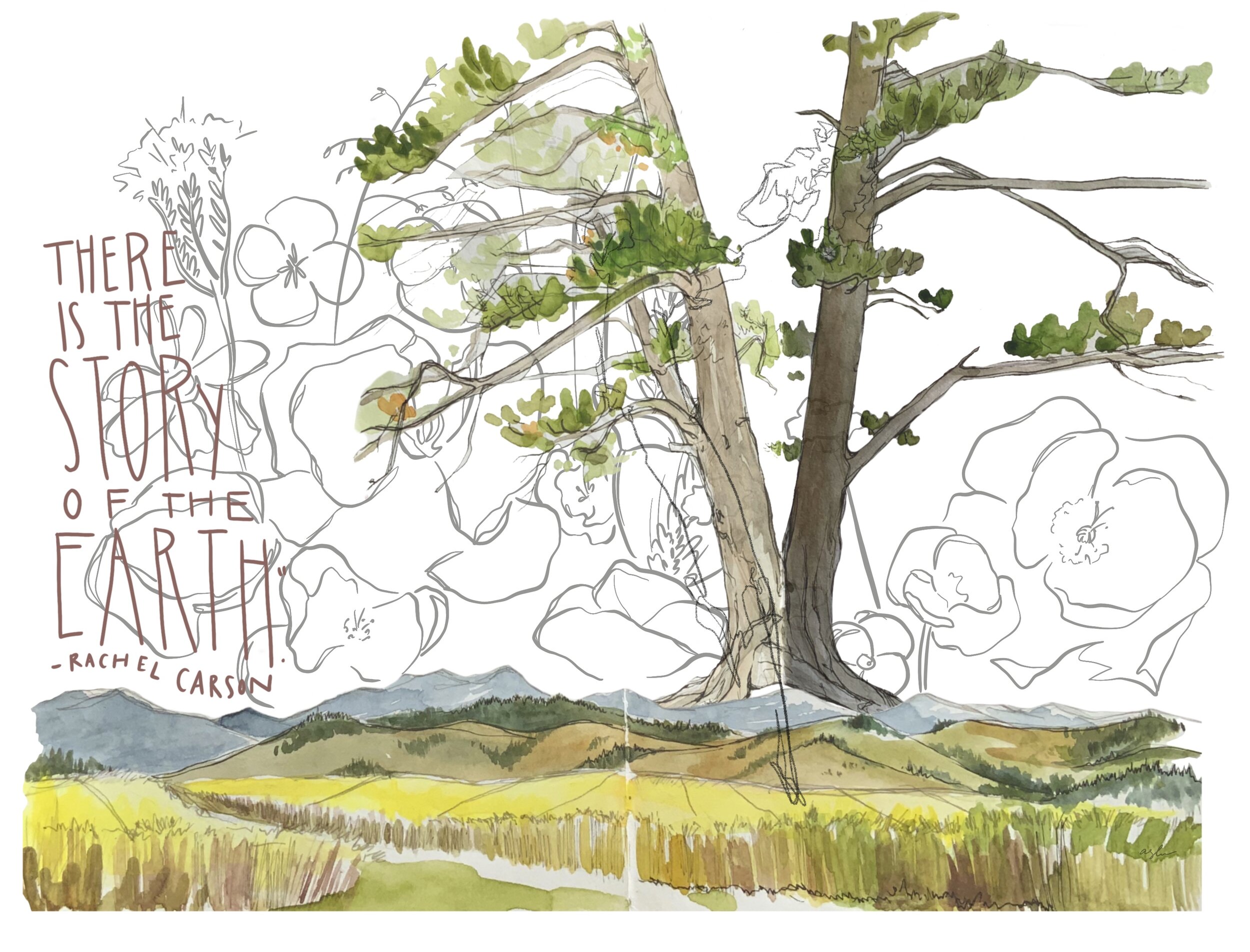 summer 2018 - layered landscape.