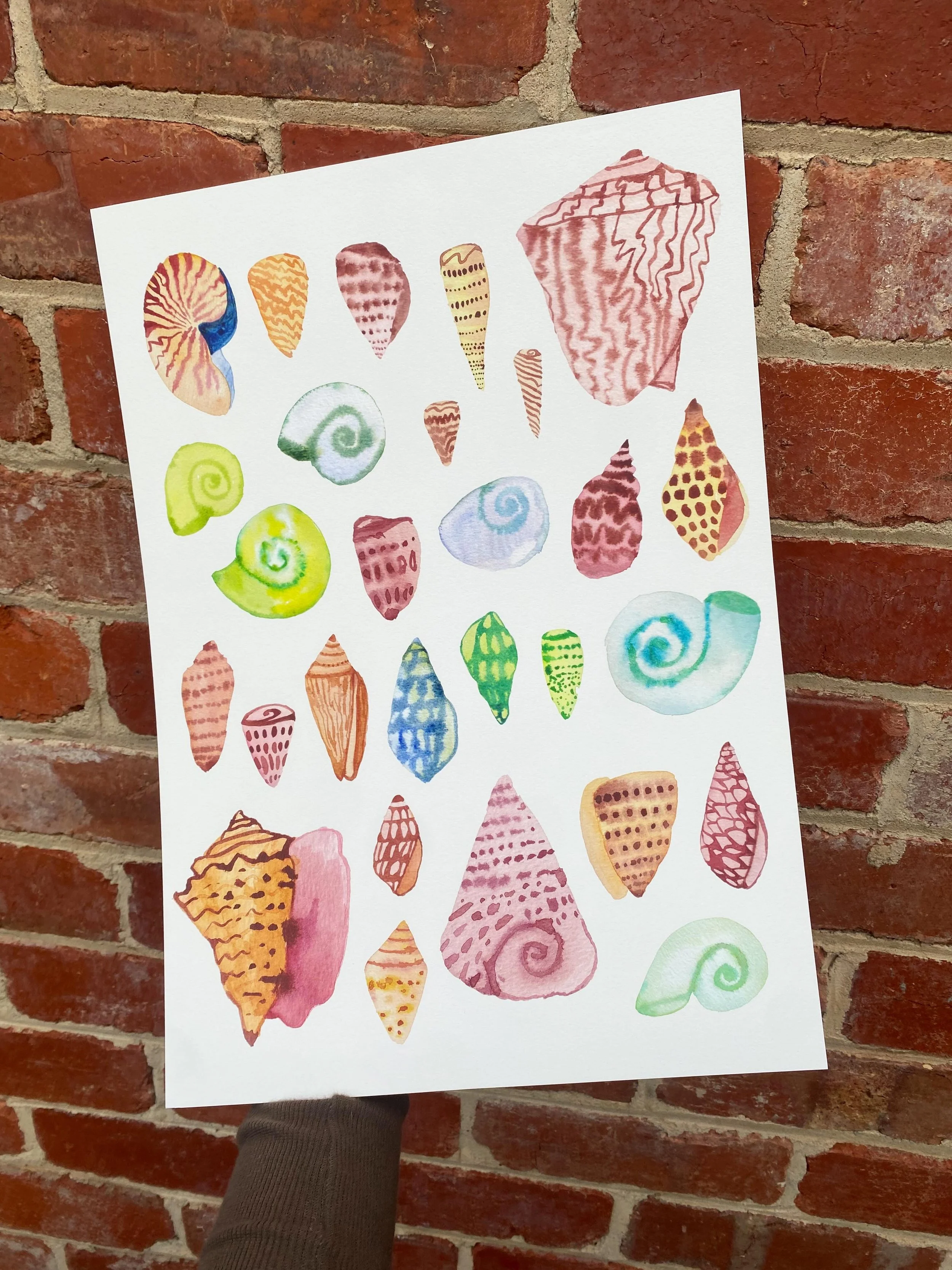 Seashell Print 🐚🩵✨

Limited run of A3 watercolour fine art prints 〰️ available on my website now :)
