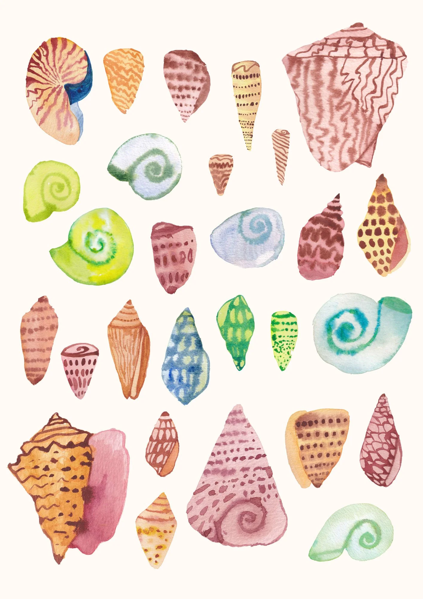 Seashell Print