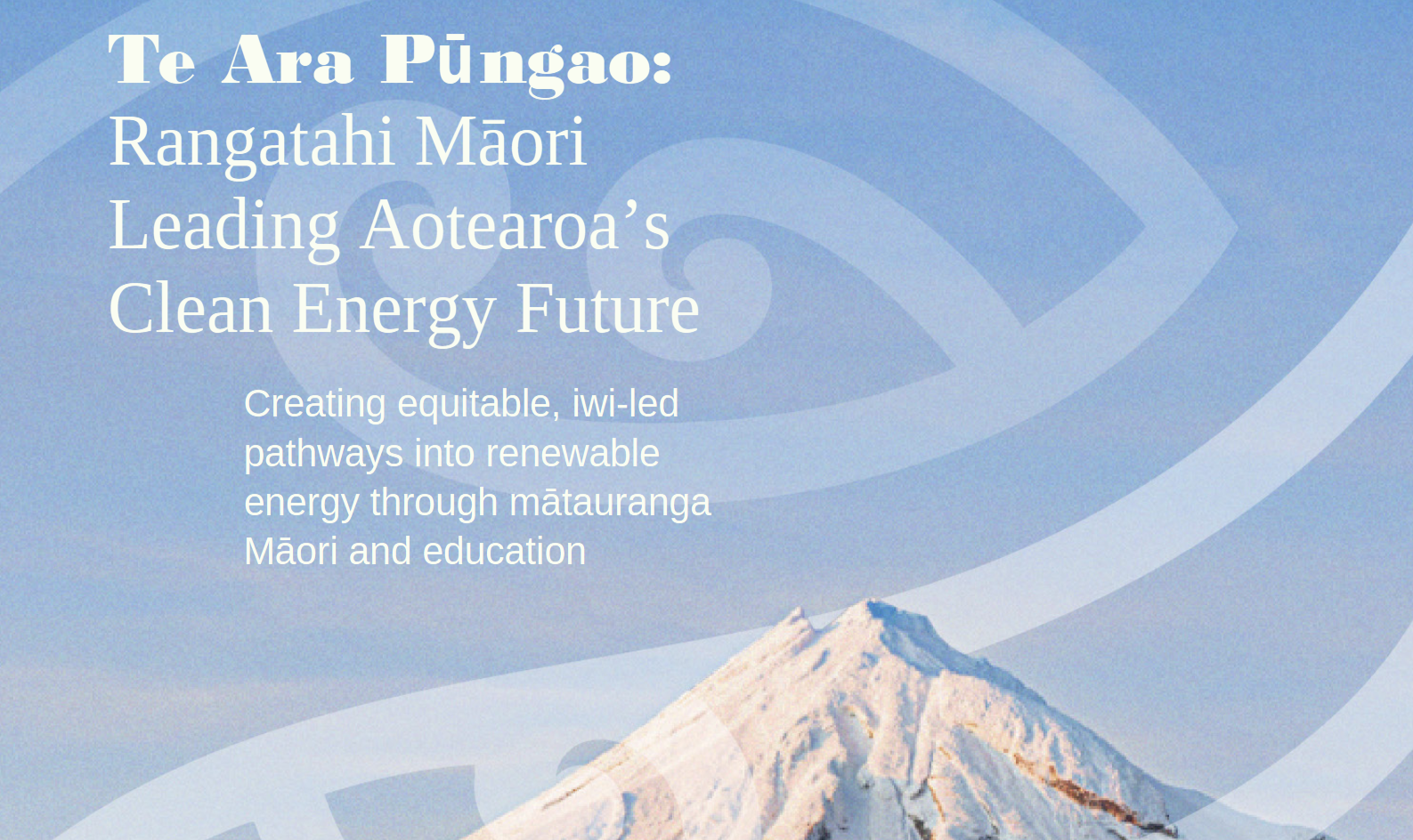 Te+Ara+Pungao_Exec+Summary_01.png