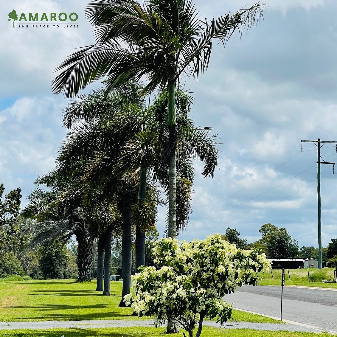 It&rsquo;s a beautiful day at Amaroo today! We Hope you all have a lovely weekend! 😊☀️