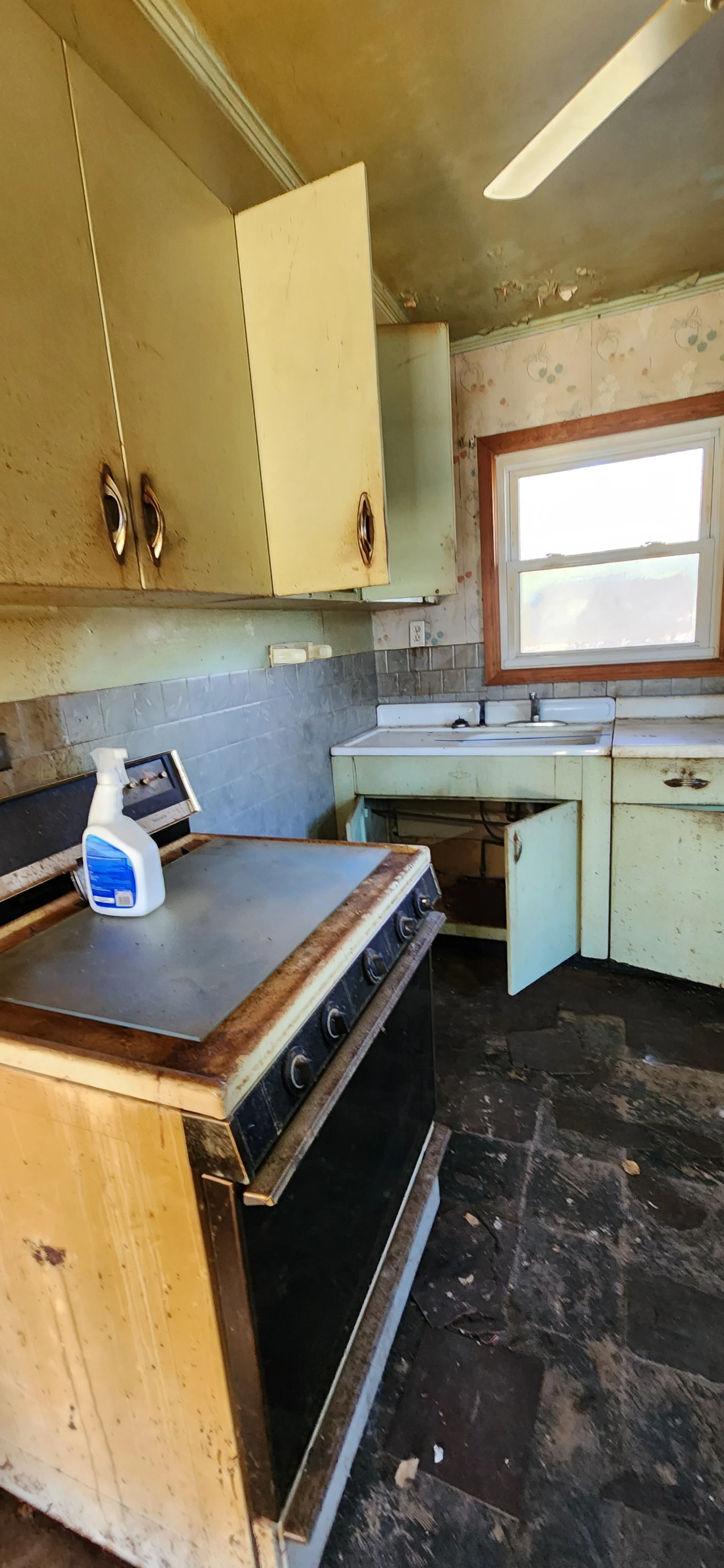 146 Blackhawk Dr Park forest, IL 60466 4.jpg