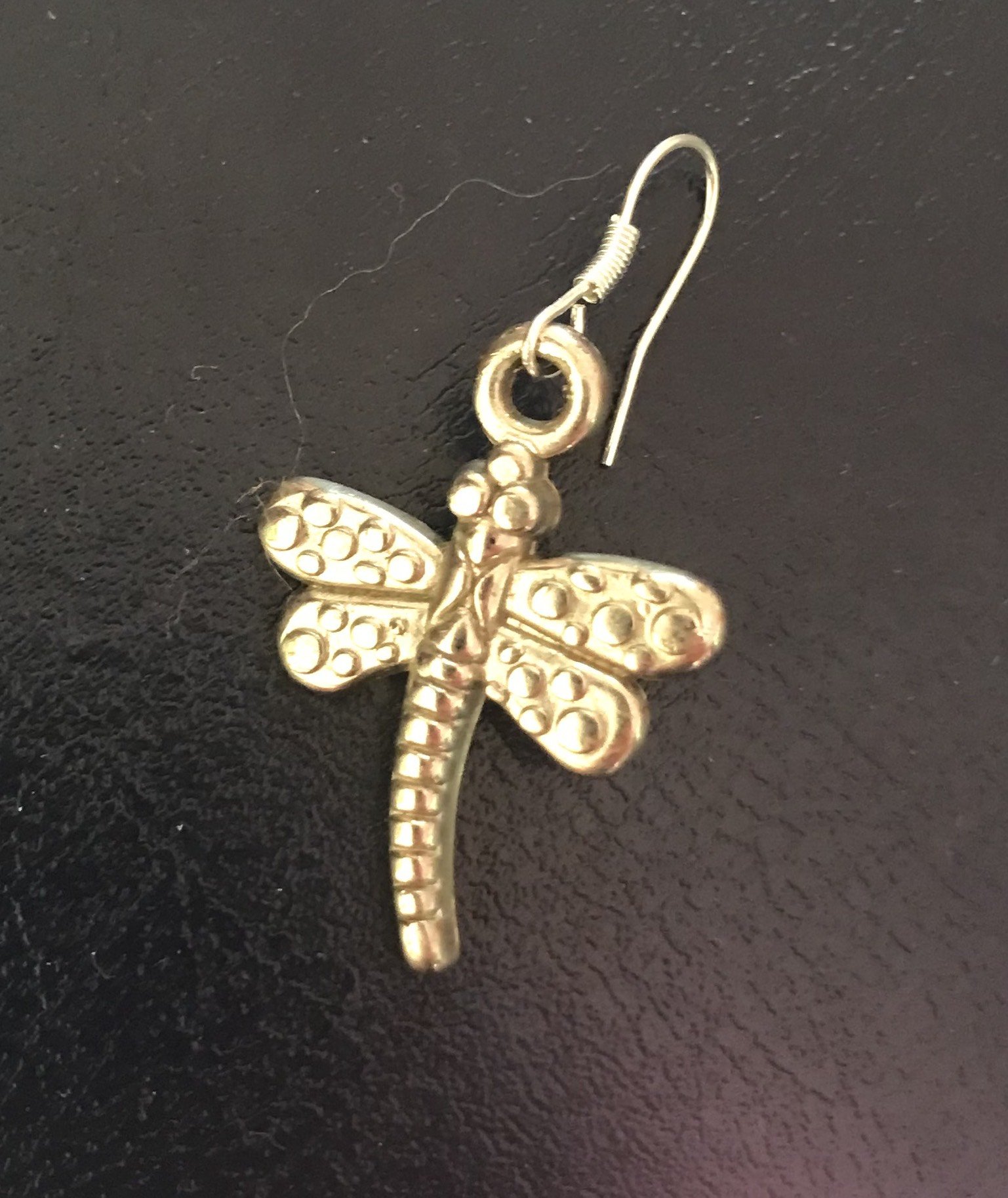 single dragonfly.jpeg