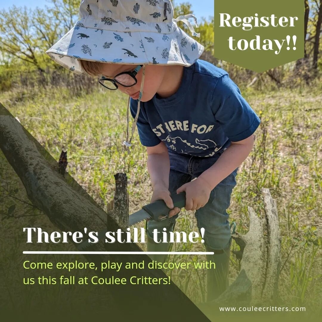 Come explore, play, and discover with us this fall at Coulee Critters! Register your child for fall forest school before September 12th 🍂🍁 Limited spaces available! Accepting children 3-10 years old.

Visit www.couleecritters.com to register!

#for