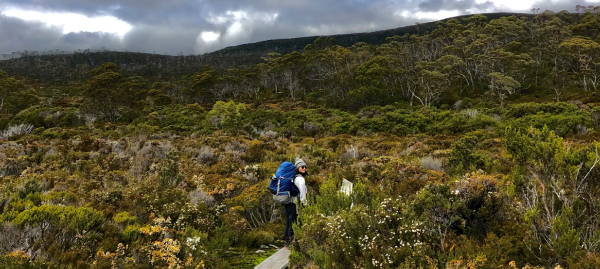 A person with a blue backpack standing on a narrow wooden trail in a dense, green, mountainous landscape with a cloudy sky overhead.