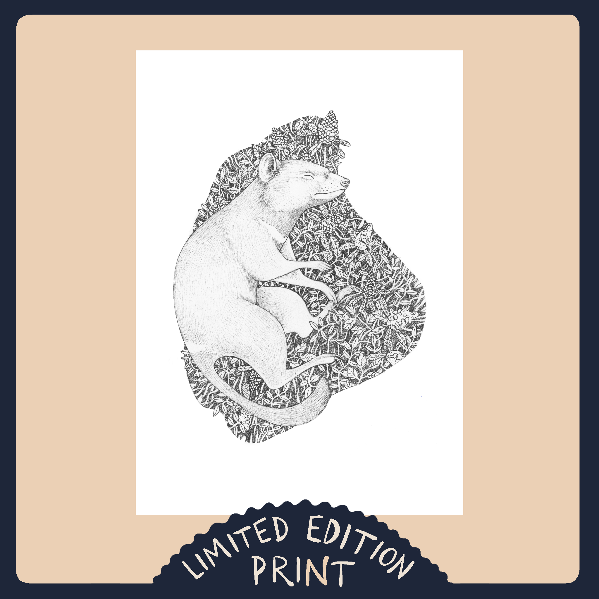Tasmanian Devil- Limited Edition Print