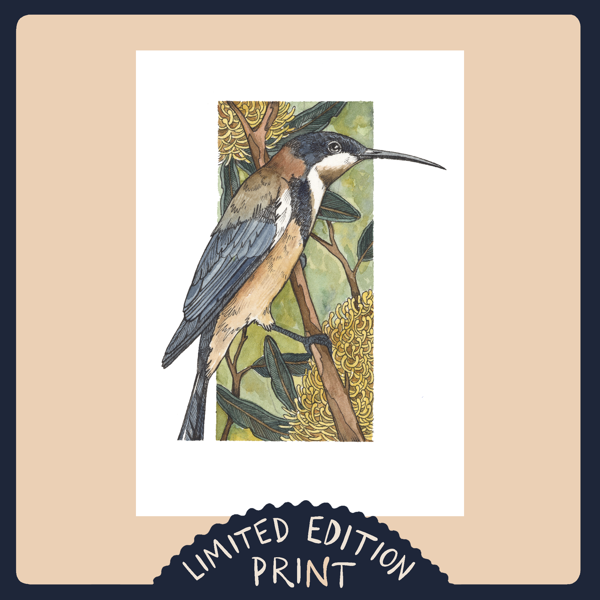 easternSpinebill-LEPrint-HeroImage.png