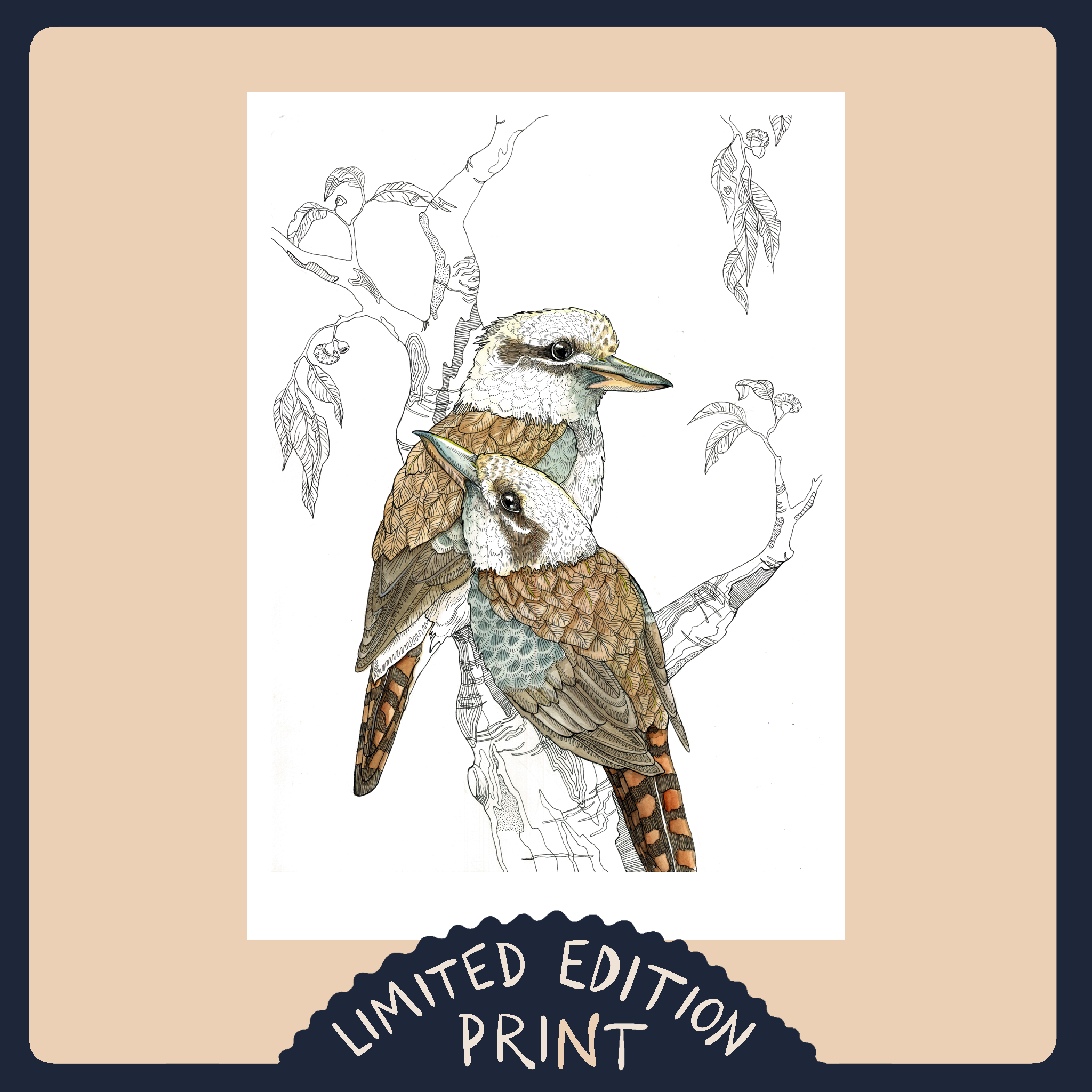 2 Kookaburras- Limited Edition Print
