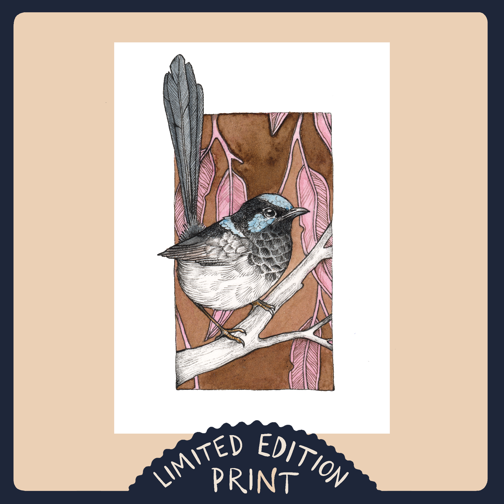 Fairy Wren 2- Limited Edition Print