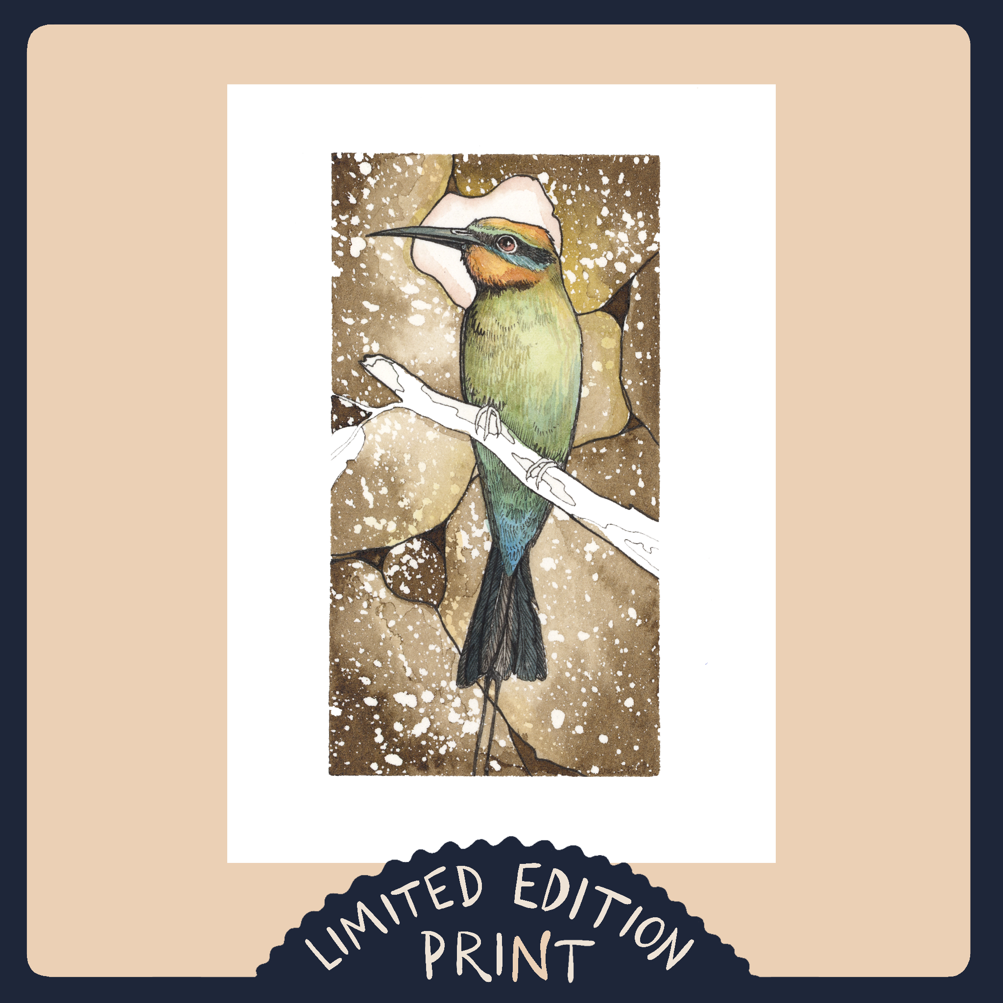 Rainbow Bee-eater 2- Limited Edition Print