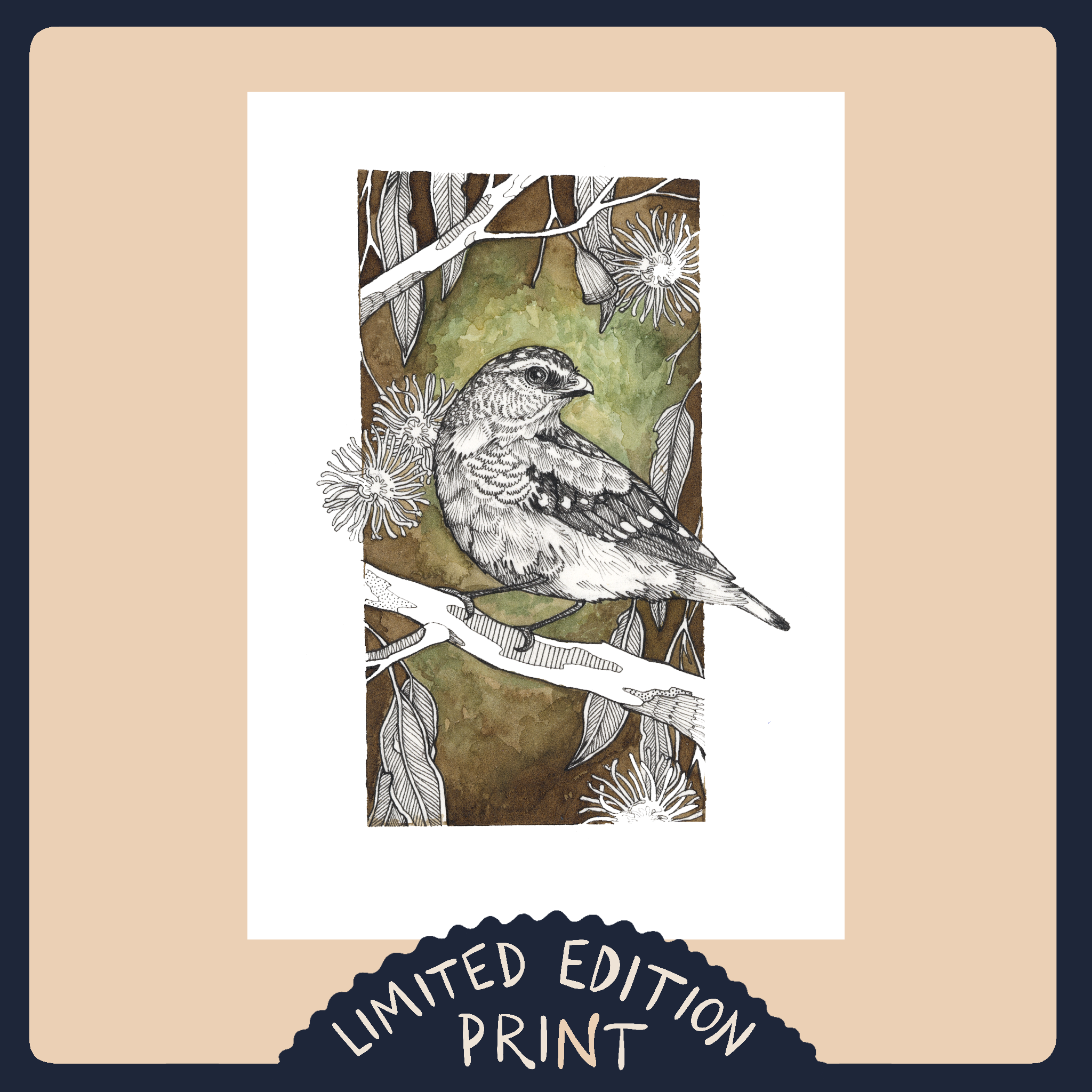 Spotted Pardalote 2- Limited Edition Print