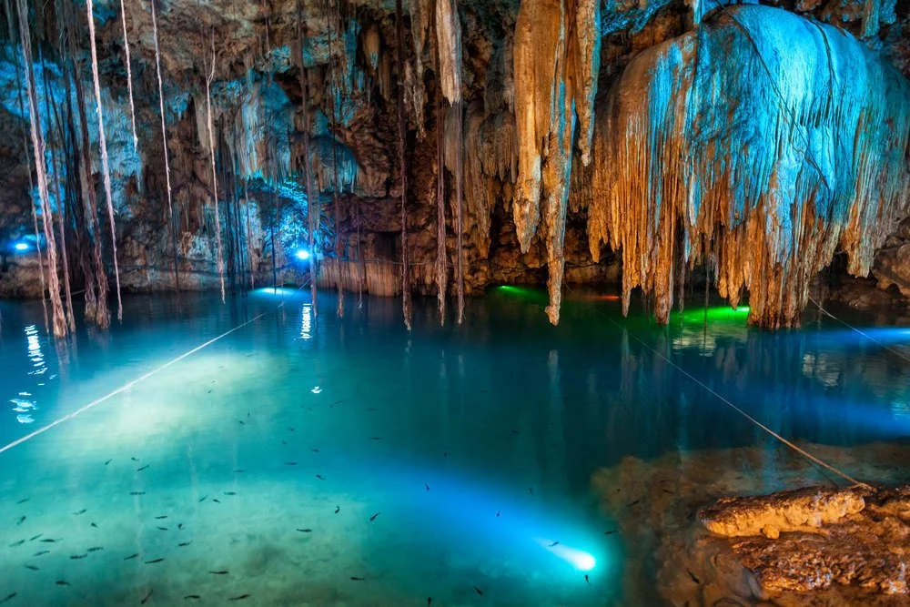 Green Grotto Caves & Luminous Lagoon.jpeg