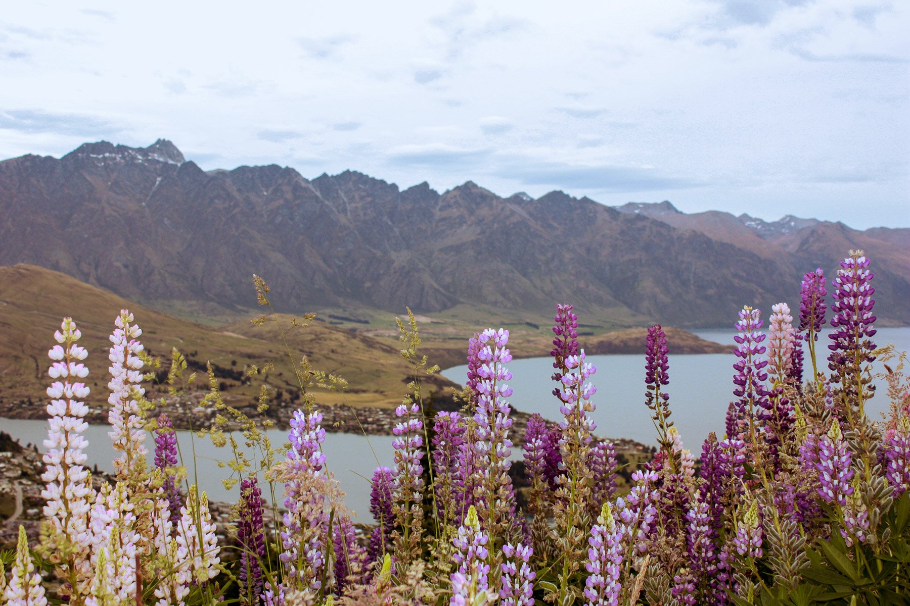 Queenstown Remarkables