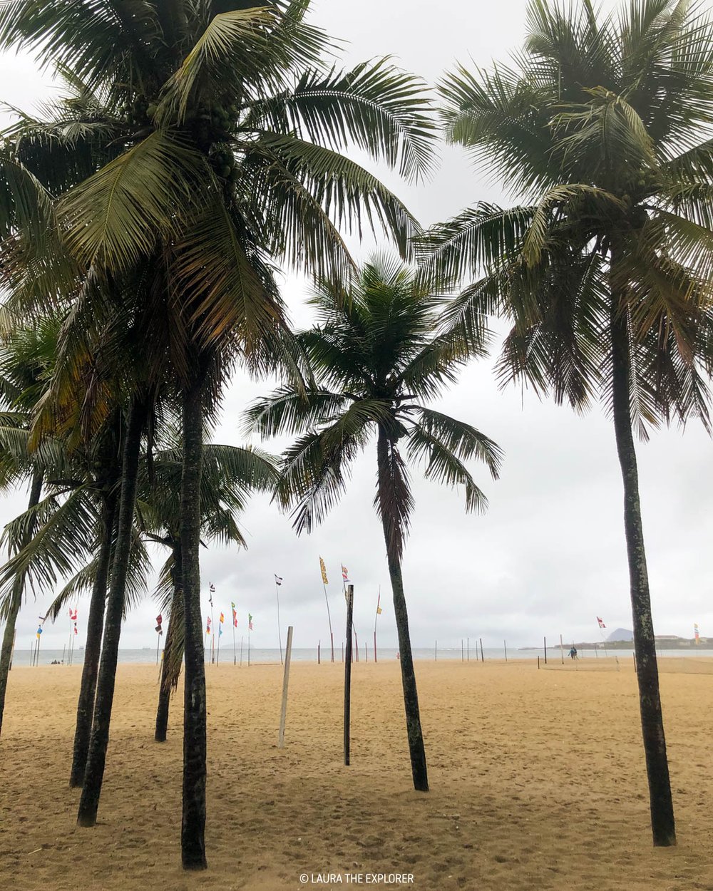 palm trees on copacabana beach in rio de janeiro