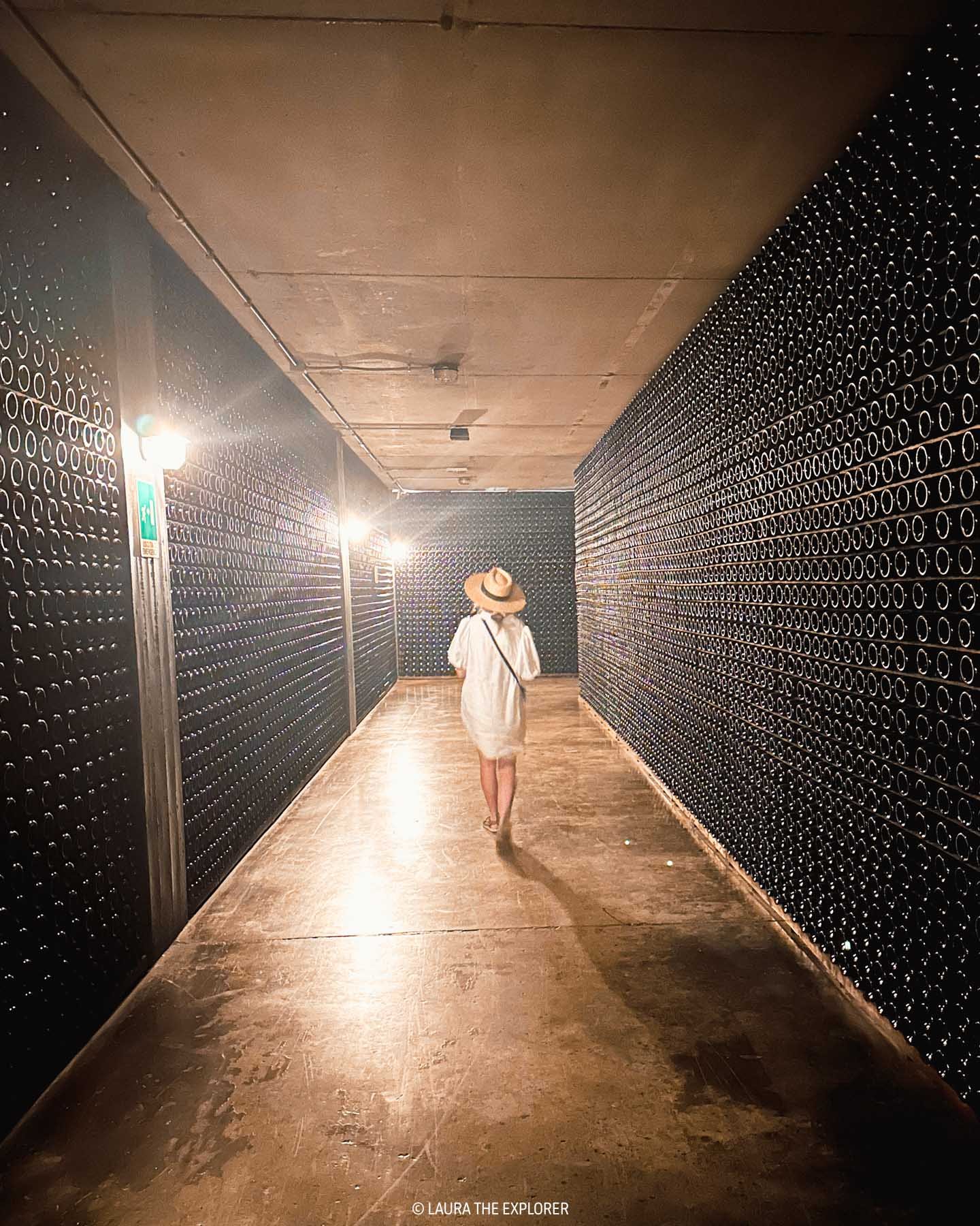 laura the explorer surrounded by hand-bottled trento doc wine