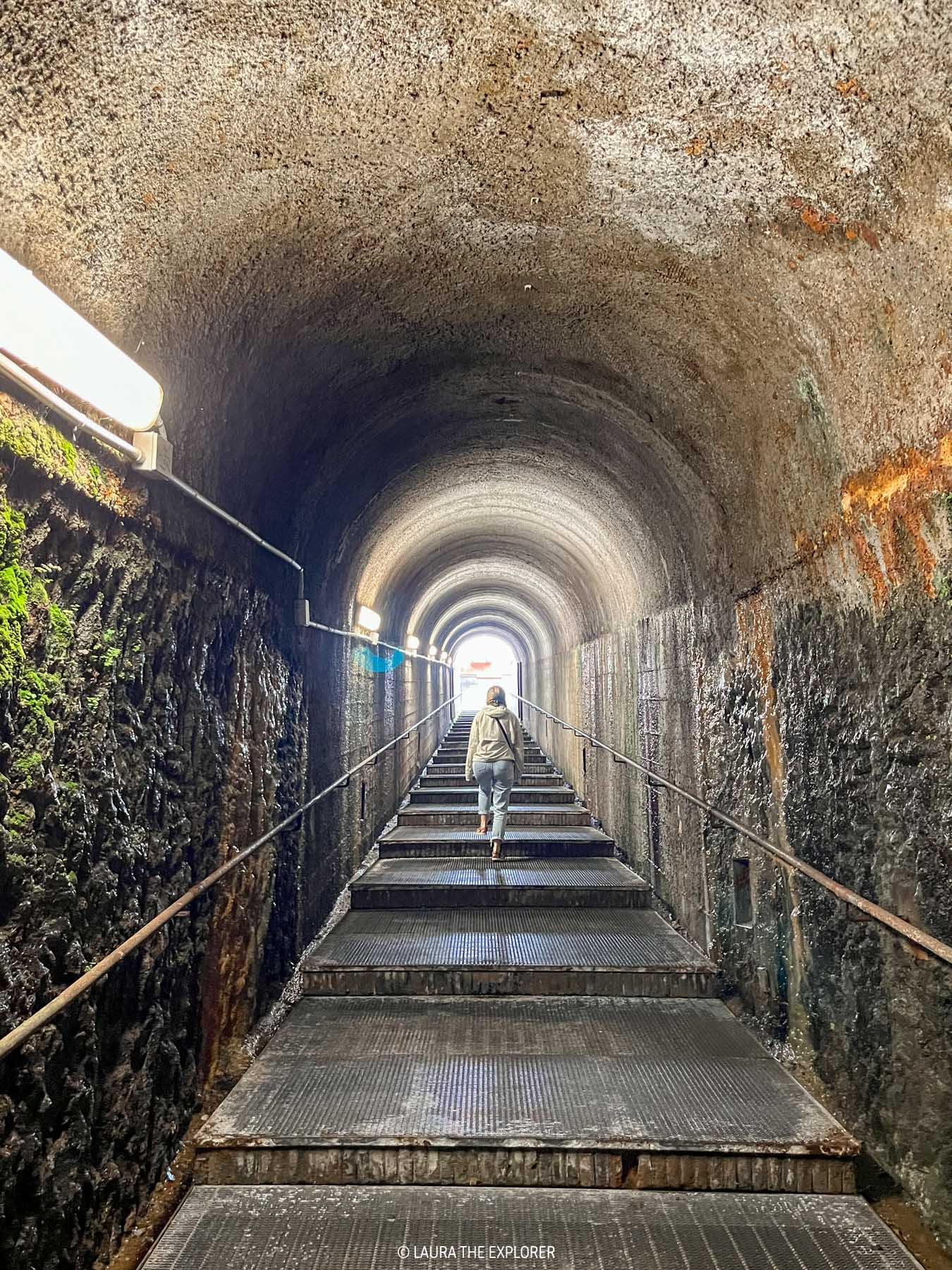 laura the explorer descending to ercolano