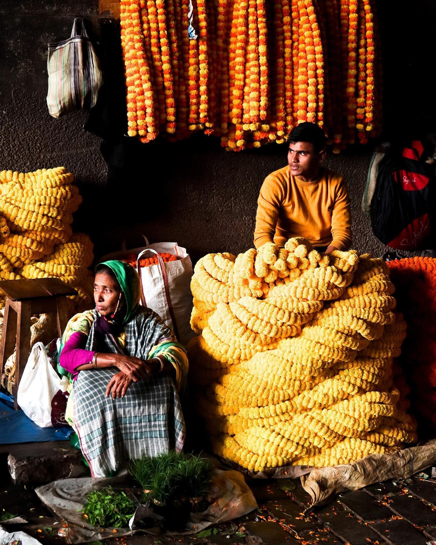 🇮🇳 Colours of Kolkata

1. 🌼 vendors at the Mallick Ghat Flower Market
2. 🥻stunning saris at the Victoria Memorial
3. 🌸 flowers awaiting sale 
4. 🎉 Bengali pottery during Dewali celebrations
5. 💐 flower couriers from the flower market
6. 🚖 Kol