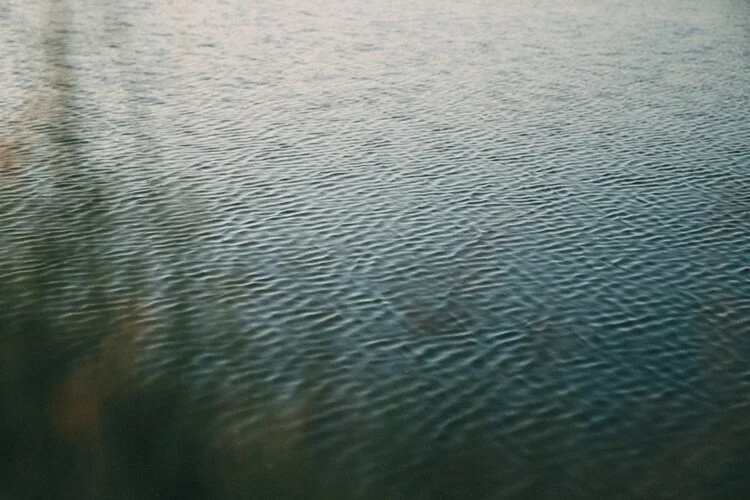 atardecer en albufera valencia