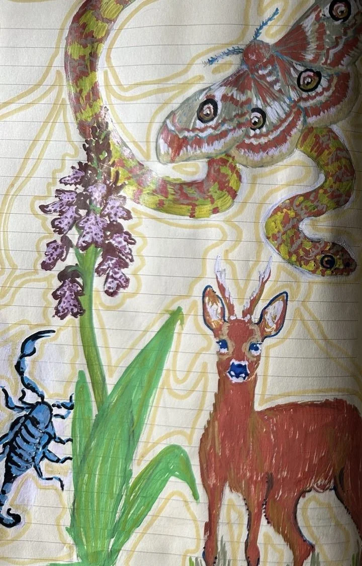 A page from our guestbook - Spring Days at Casa Rosa